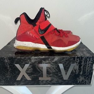 Nike Lebron XIV